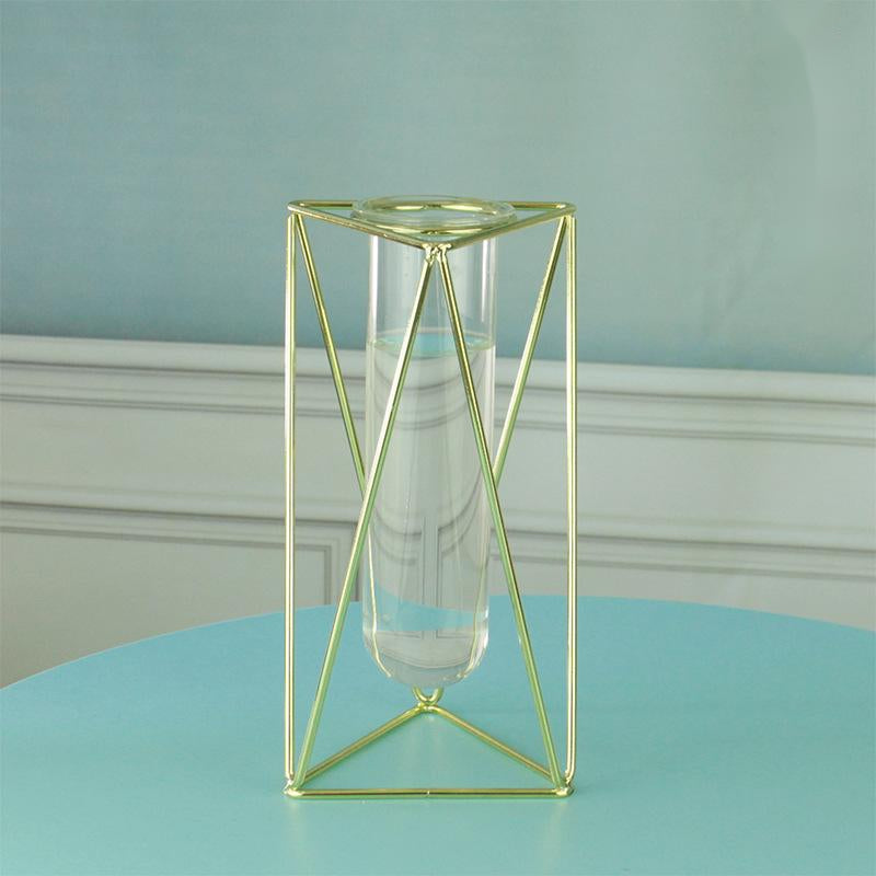 Hydroponic Glass Vase