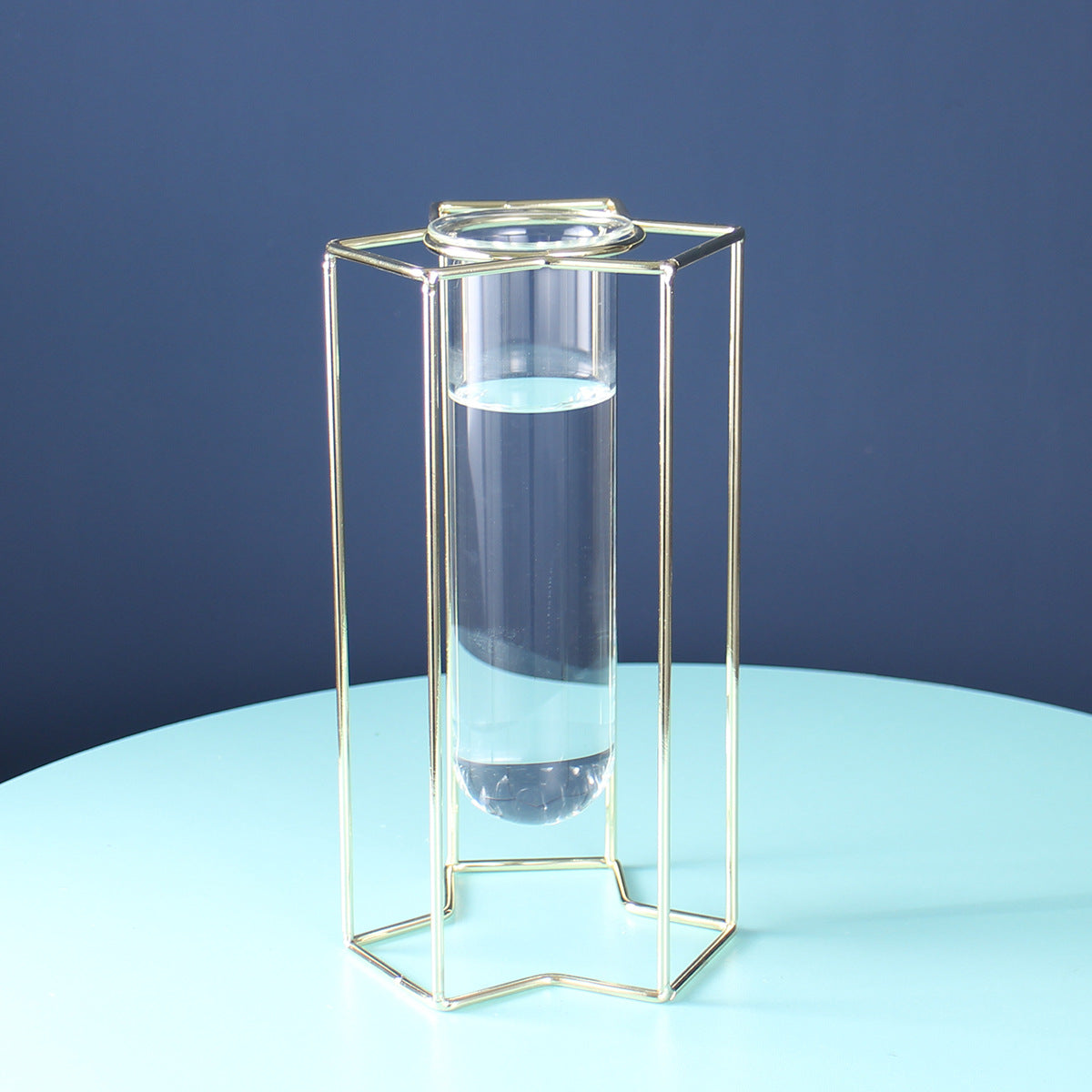 Hydroponic Glass Vase