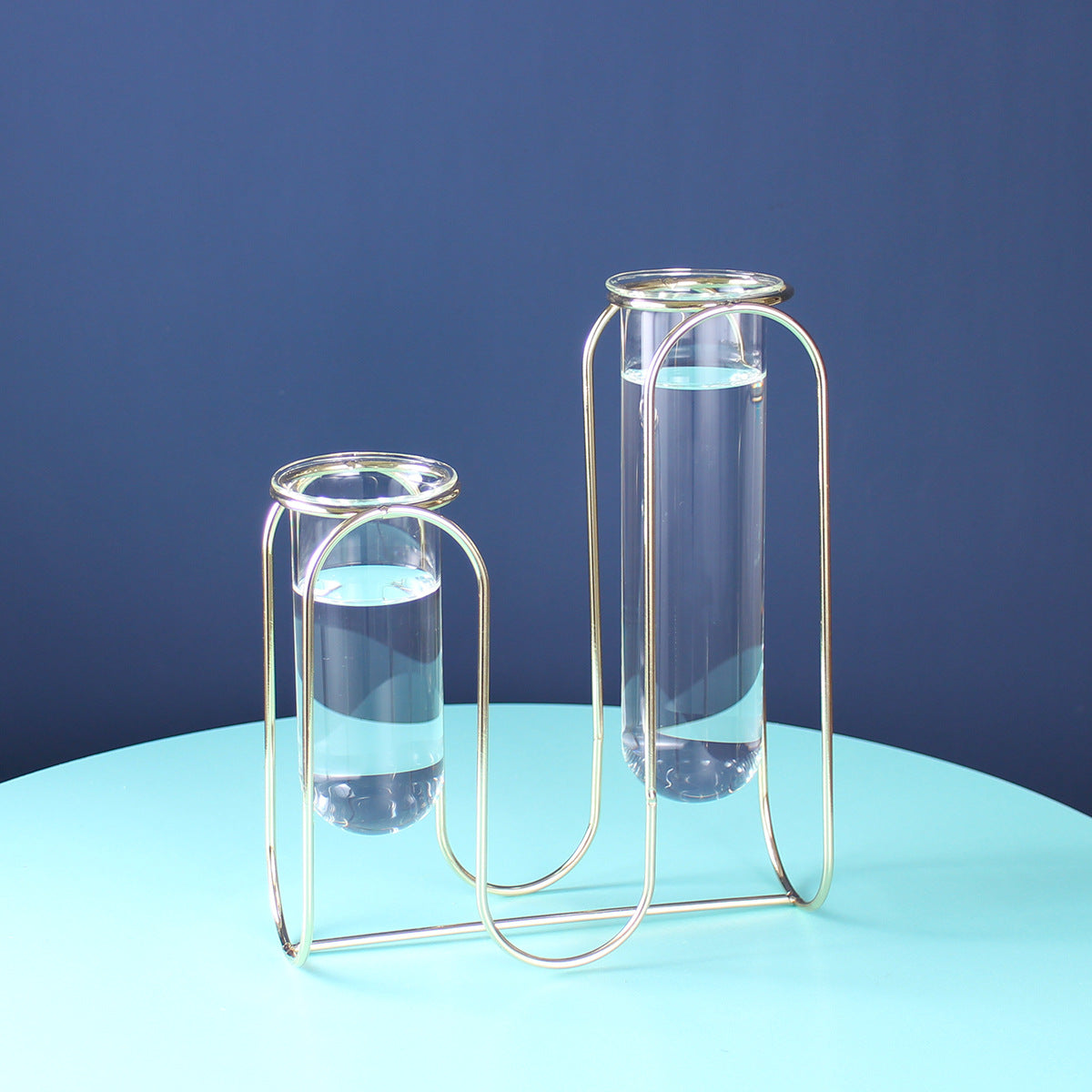 Hydroponic Glass Vase