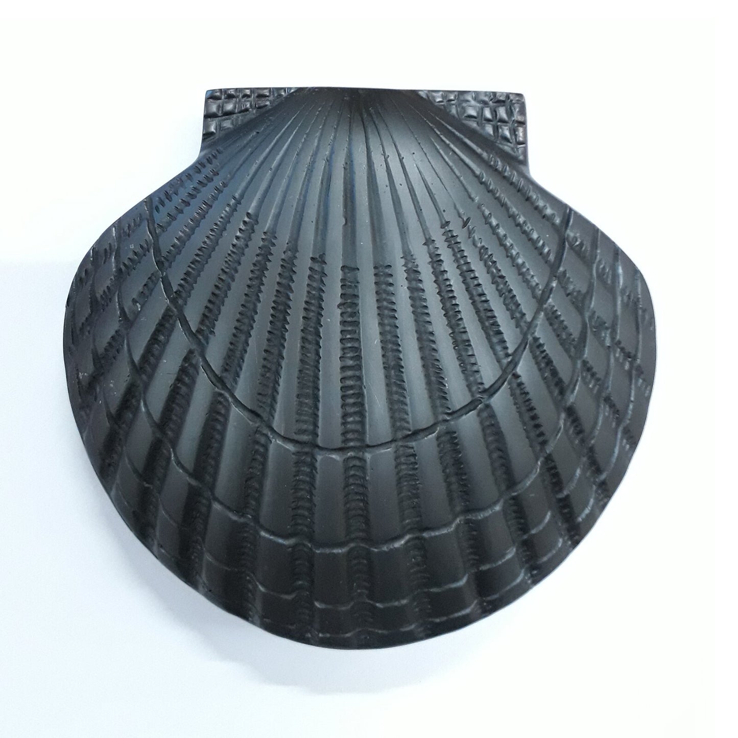 Large Sea Shell Door Knocker