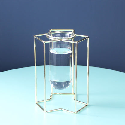 Hydroponic Glass Vase