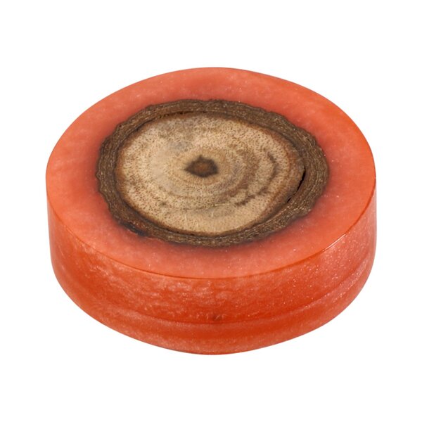 Mascot Hardware Beauty Art 1-1/2 in. Wood & Resin Round Rectangle Cabinet Knob