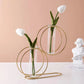 Nordic Style Simple Geometric Metal Wrought Iron Transparent Glass Hydroponic Vase