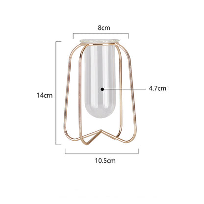 Nordic Style Simple Geometric Metal Wrought Iron Transparent Glass Hydroponic Vase
