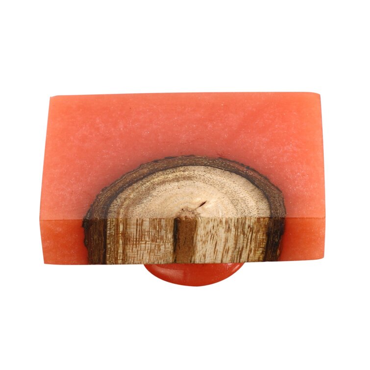 Mascot Hardware Beauty Art 1-1/2 in. Wood & Resin Round Rectangle Cabinet Knob