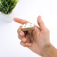 Mascot Hardware Casino 1-3/7 in. Numero 1, 2, 3, 4, 5, 6 Drawer Cabinet Knob