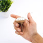 Mascot Hardware Casino 1-3/7 in. Numero 1, 2, 3, 4, 5, 6 Drawer Cabinet Knob