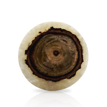 Mascot Hardware Beauty Art 1-1/2 in. Wood & Resin Round Rectangle Cabinet Knob