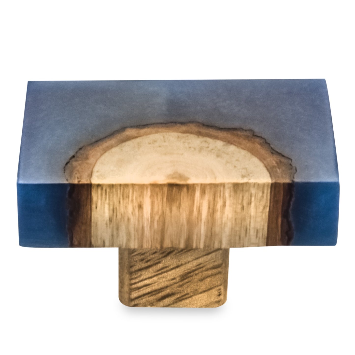 Mascot Hardware Beauty Art 1-1/2 in. Wood & Resin Round Rectangle Cabinet Knob