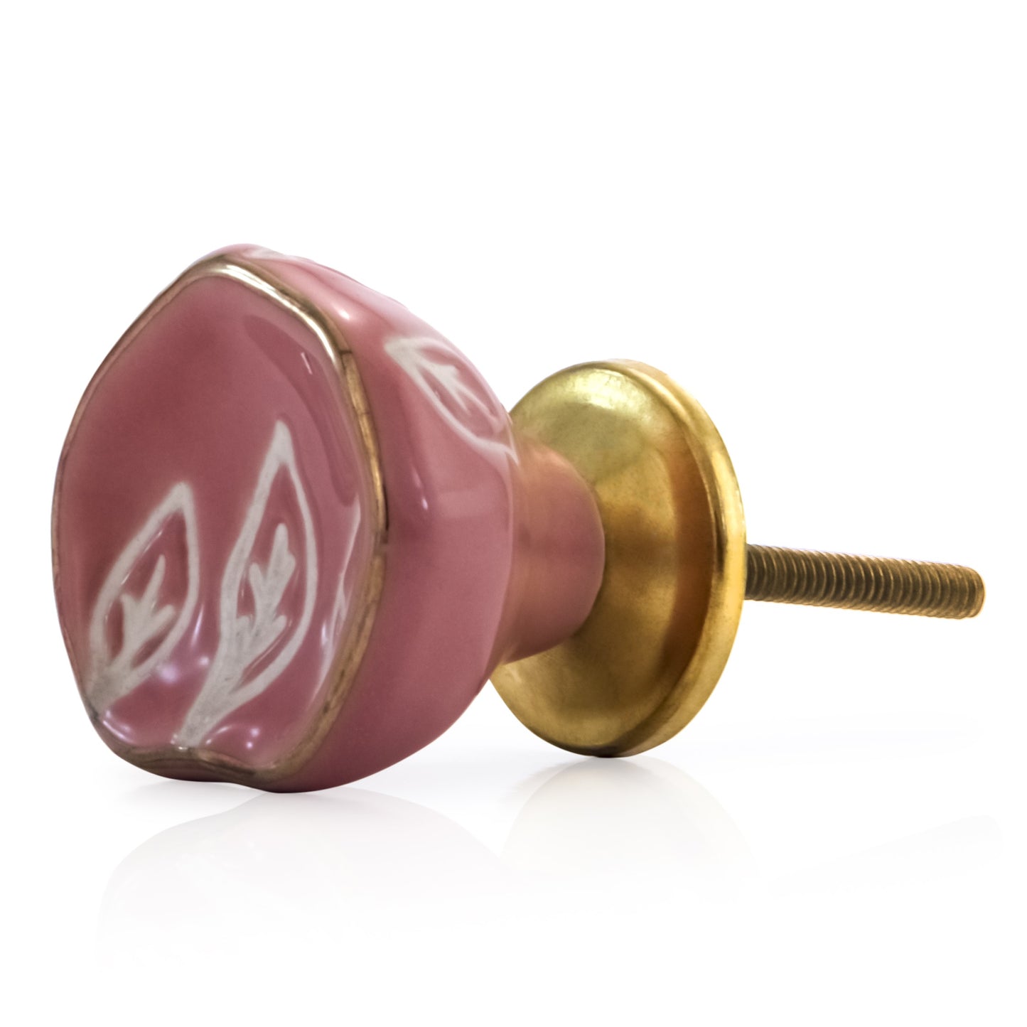 Mascot Hardware Tropical Leaves 1-2/3 in. Drawer Cabinet Knob (Pack of 10)