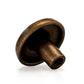 Trad Ring 1-1/6 in. Antique Brass Round Cabinet Knob (10-Pack)