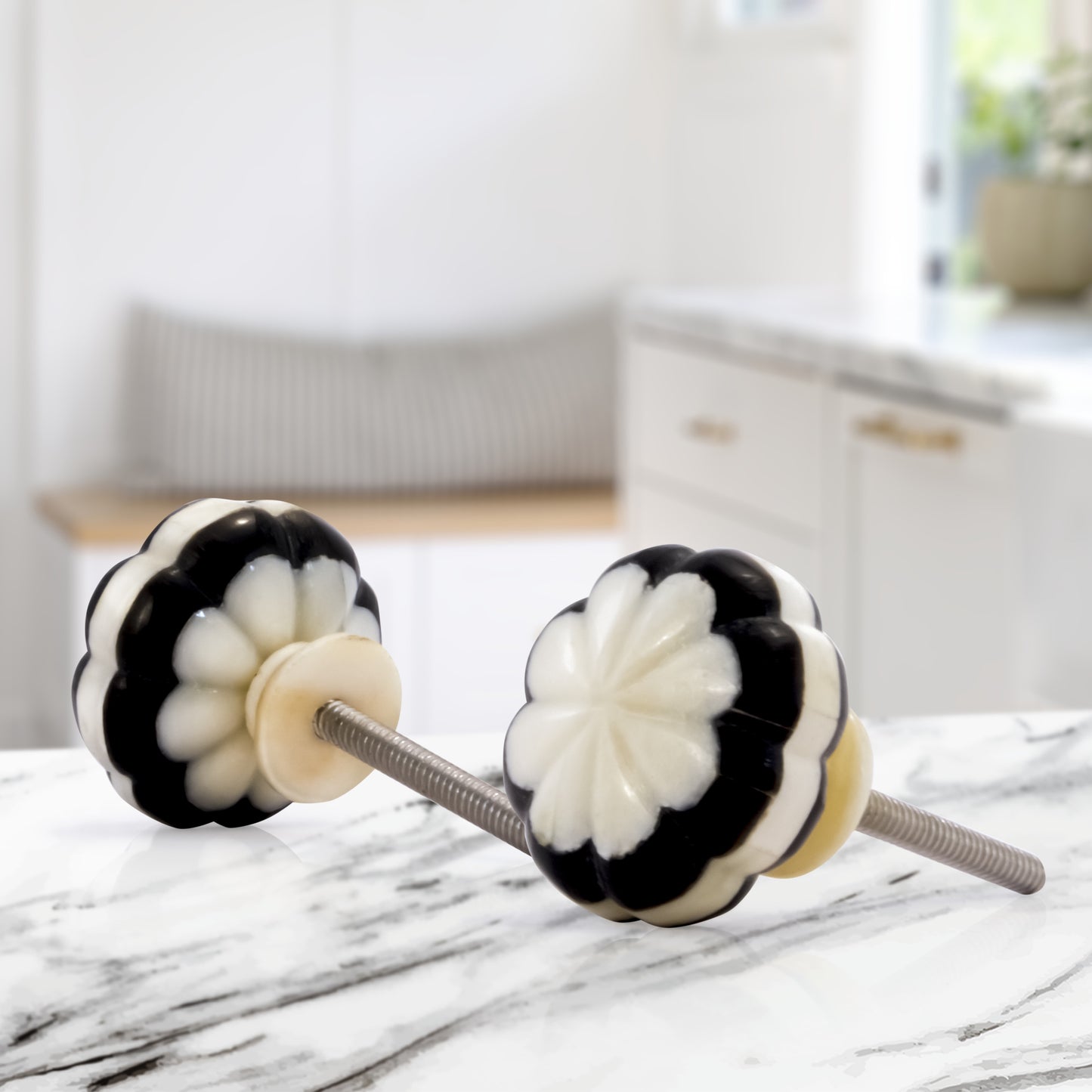 Mascot Hardware Melon Shaped 1-1/2 in. (38mm) Black & Cream Resin Cabinet Knob