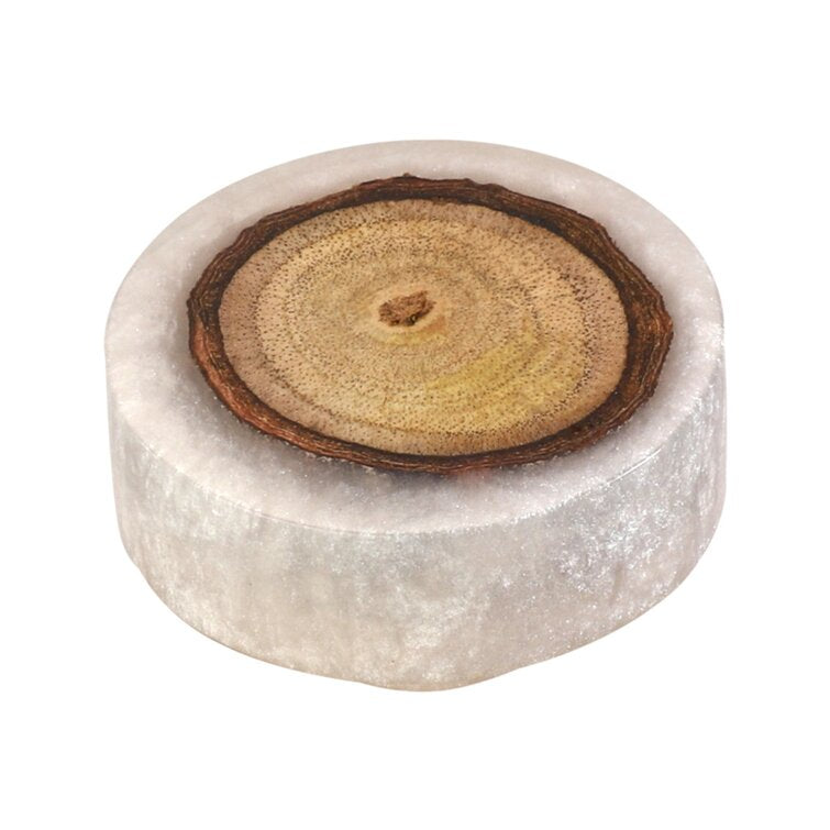 Mascot Hardware Beauty Art 1-1/2 in. Wood & Resin Round Rectangle Cabinet Knob