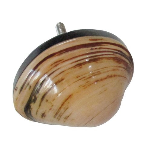 Mascot Hardware Shell 1-3/4 in. Drawer Cabinet Knob
