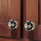 Black 1-3/5 in. Black & Cream Cabinet Knob (Pack of 10)